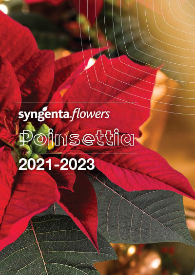 Poinsettia 2021-2023