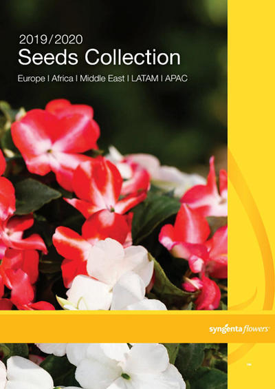 Seeds Collection 2019/2020