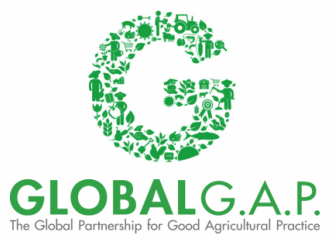 global gap logo