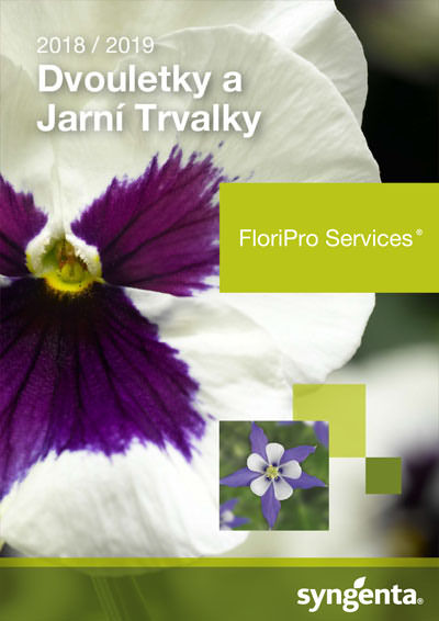 Dvojročky a jarné trvalky 2018/2019