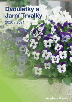 Dvojročky a jarné trvalky 2020/2021