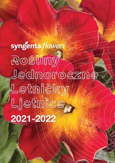 LETNIČKY 2021-2022