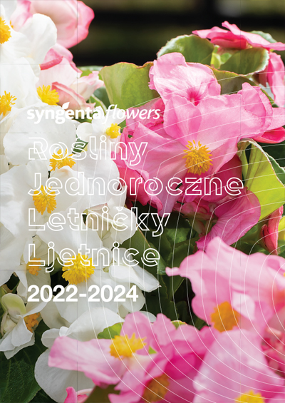 LETNIČKY 2022-2024