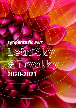 Letničky a trvalky 2020
