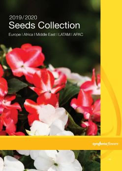 Seeds Collection 2019-2020