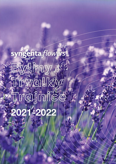 TRVALKY 2021-2022