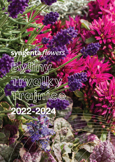 TRVALKY 2022-2024
